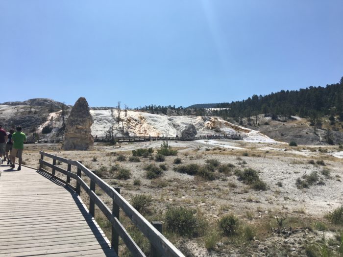 yellowstone adventures