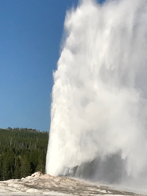 yellowstone adventures